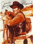 James Drury