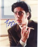 Benicio Del_Toro