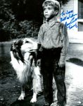 Jon Provost